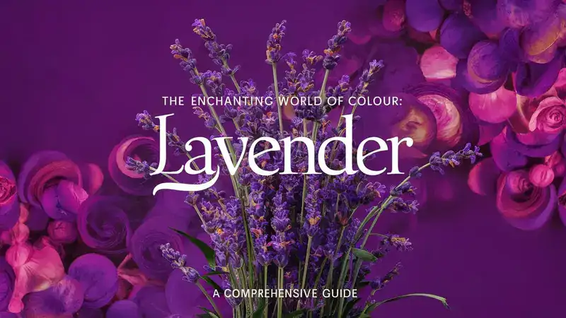 colourcckmvfcmc3m= lavender