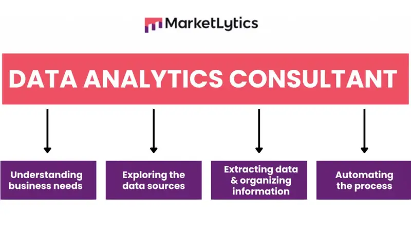 Data Analytics Consultants