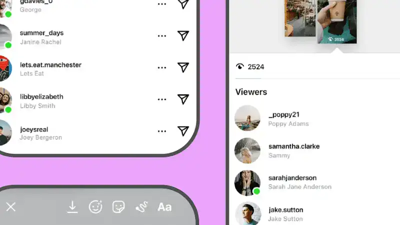 Instagram Story Viewer